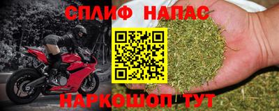 СК Будённовск