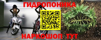 СК Будённовск