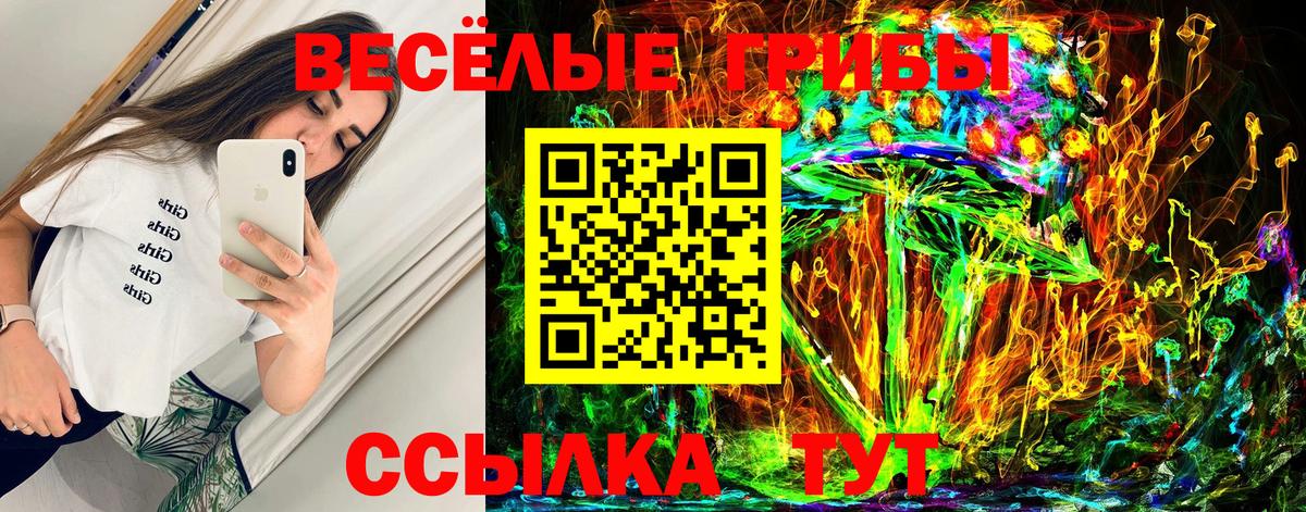 Сосновый Бор  Псилоцибиновые грибы Psilocybine cubensis  Вход с VPN 